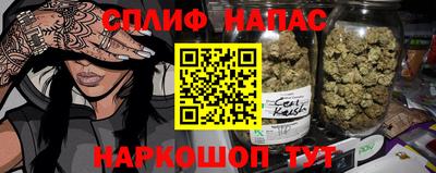 стаф Тверь